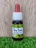 Tea tree oil 100% puro, 10-100ml-Oleoliti ed oli essenziali