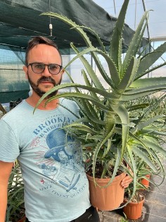 Pianta di Aloe Arborescens di 5 anni-Piante di Aloe 2