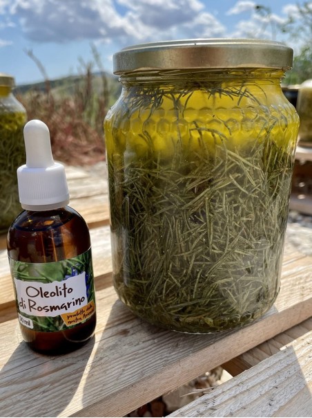 Rosemary oil 50ml - Infused Oil Extract