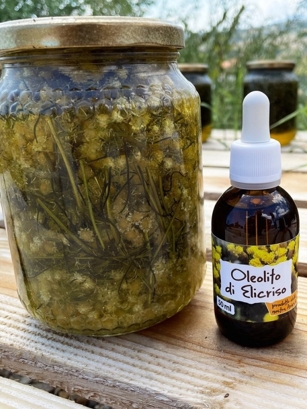 Helichrysum Italicum oil 50 ml -  Infused Oil Extract