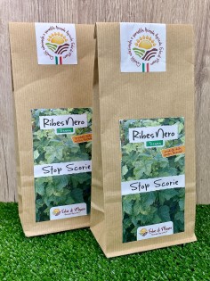 Foglie di Ribes nero, Tisana 50g-Tisane diuretiche 2