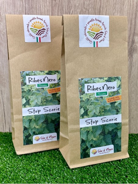 Foglie di Ribes nero, Tisana 50g-Tisane diuretiche