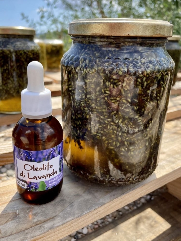 Oleolito di Lavanda, 50-250 ml-Oleoliti ed oli essenziali
