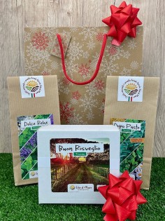 Pacchetto regalo Buona Giornata-Regali di Natale