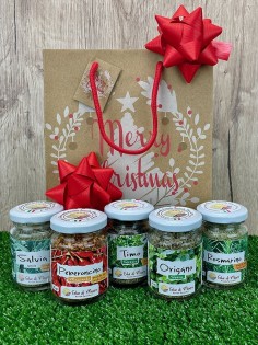 Pacchetto regalo Spezie classiche da Cucina-Regali di Natale