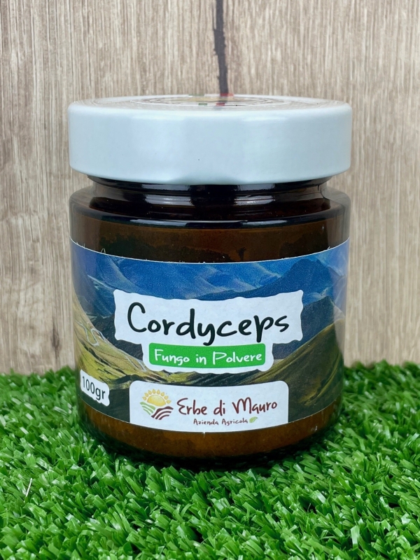 Cordyceps sinensis, fungo in polvere 100-500g-Superfood