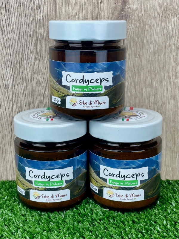 Cordyceps sinensis, fungo in polvere 100-500g-Superfood