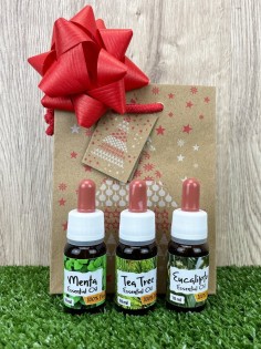 Hands and Face wellness gift package