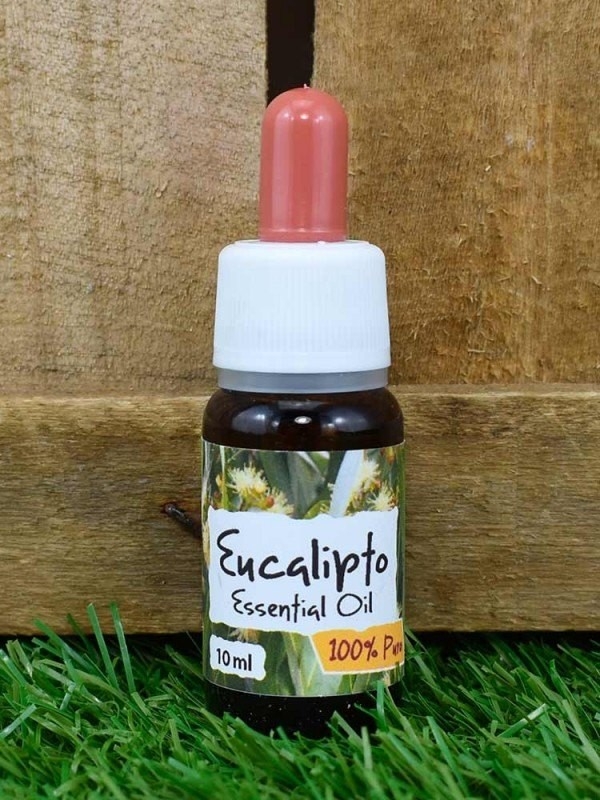 Pacchetto regalo "Respiro Balsamico"-Regali di Natale