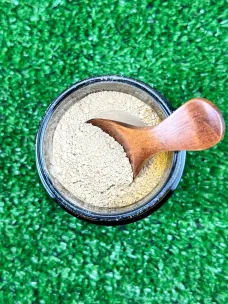 Shiitake, fungo in polvere sa 80g e 500g, superfood erbe di mauro 2