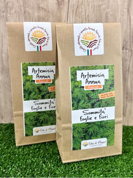Artemisia Annua, foglie e fiori essiccati-Erbe essiccate
