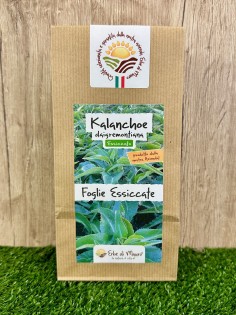 Kalanchoe Daigremontiana, foglie essiccate 50g-Erbe essiccate