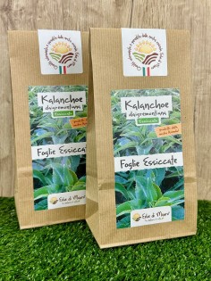 Kalanchoe Daigremontiana, foglie essiccate 50g-Erbe essiccate 2