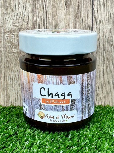 Chaga, fungo in polvere 100-500g-Funghi curativi
