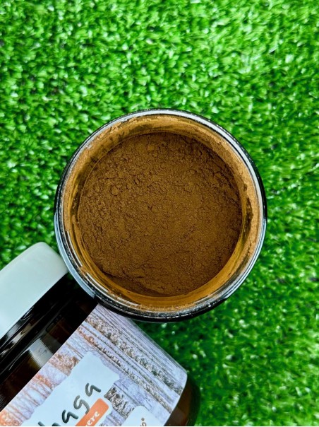 Chaga, fungo in polvere 100-500g-Funghi curativi