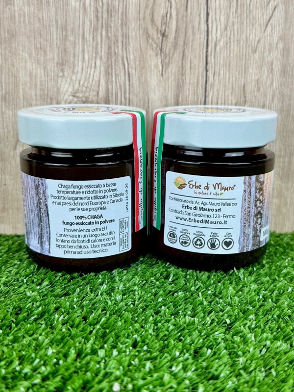 Chaga powder 100-500g