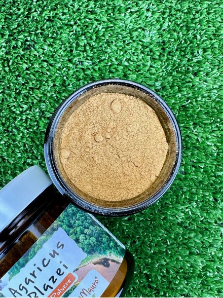 (Cuoregreen) Agaricus blazei in polvere 125g