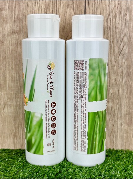 Shampooing à l'Aloe Vera pour tous les Cheveux, 250ml