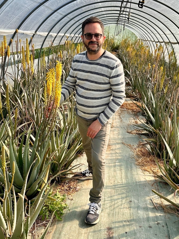 Gel di Aloe Vera puro, lenitivo e rigenerante, 100ml-Cosmetici all'Aloe Vera