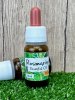 Rosemary essential oil, 10ml