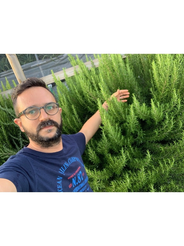 Huile essentielle de Romarin, 10ml