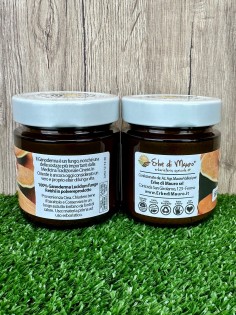 Ganoderma Lucidum Reishi, powder 125g 2