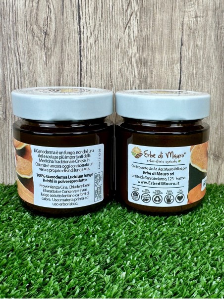 Ganoderma Lucidum Reishi, in polvere 100 g-Superfood