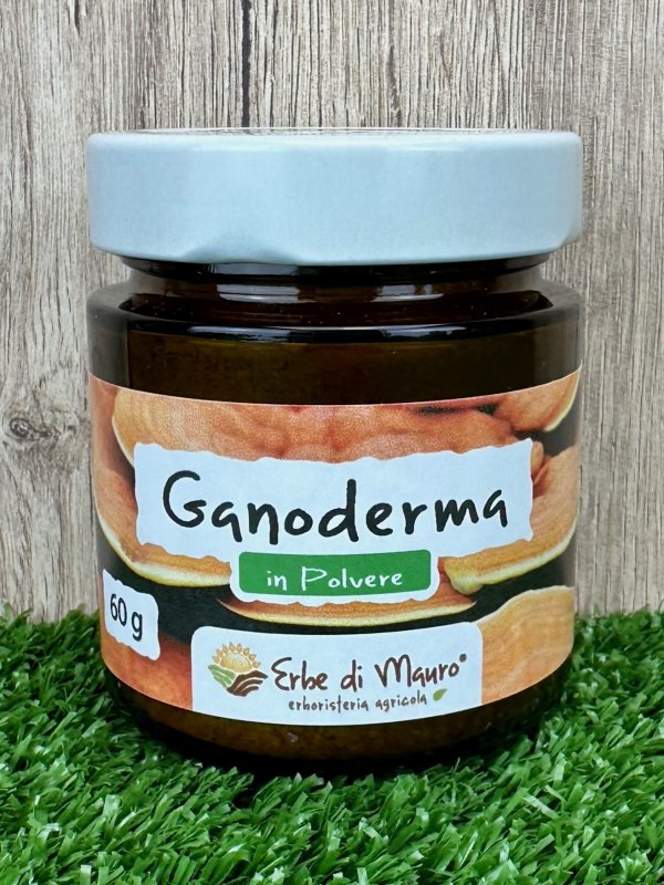 Ganoderma Lucidum Reishi, in polvere 100 g-Superfood