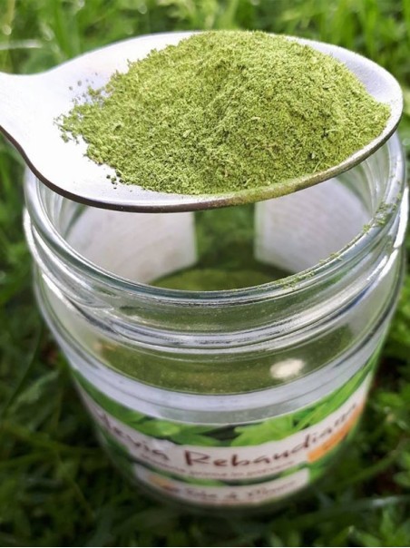 Stevia Rebaudiana powder 