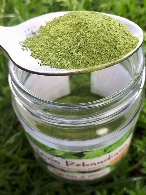 Stevia Rebaudiana in polvere, 70280 gr