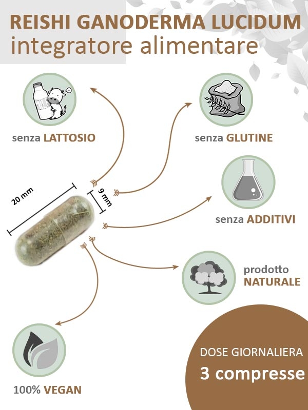 Reishi (Ganoderma lucidum) integratore alimentare, in capsule
