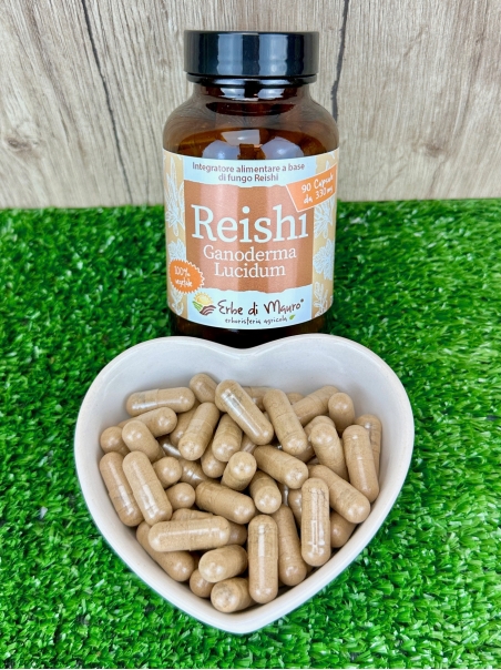 Complément alimentaire Reishi (Ganoderma lucidum), en gélules