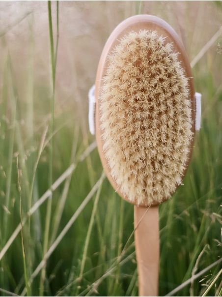 Brosse corps avec manche, poils naturels, Eco et Bien-être