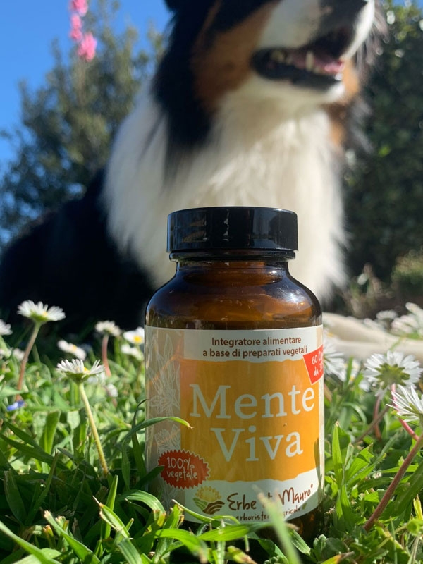 Mente Viva food supplement capsules