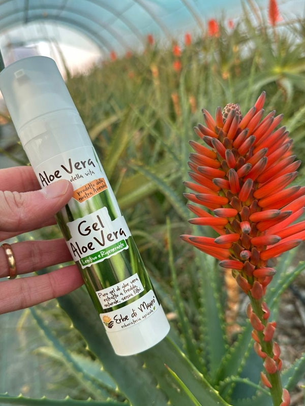 Gel Aloe Vera - lenisce e protegge