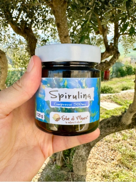Algue spiruline en comprimés