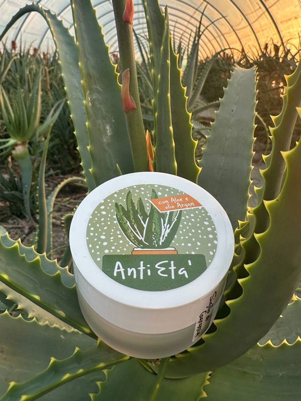 Crème Anti-Âge à l'Aloe Vera et Acide Hyaluronique
