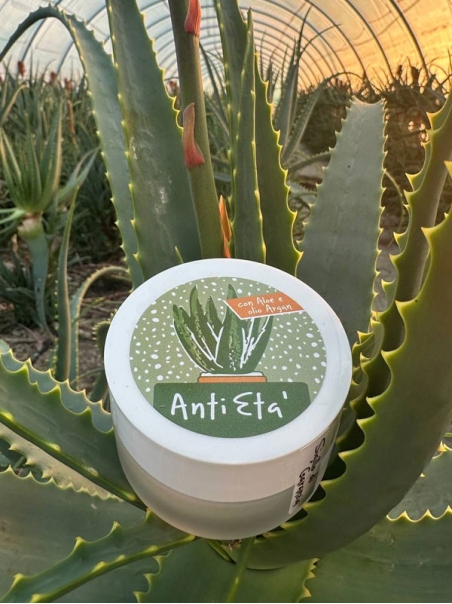 Crème Anti-Âge à l'Aloe Vera et Acide Hyaluronique