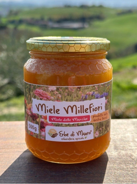 Wildflower honey, not pasteurized 500g