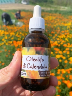Oleolito di Calendula, 50-250 ml-Oleoliti ed oli essenziali 2