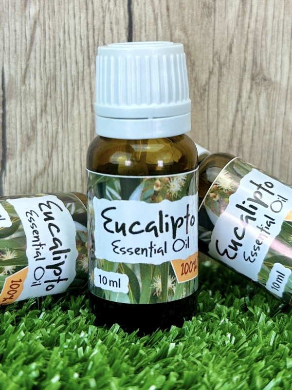 Eucalyptus Globulus Essential Oil. 100% Pure and natural.
