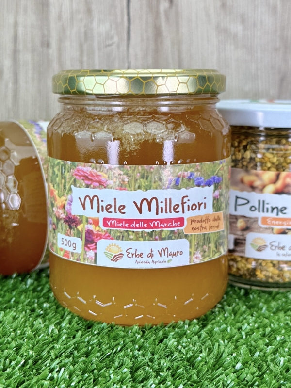 Miel de fleurs sauvages brut, non pasteurisé