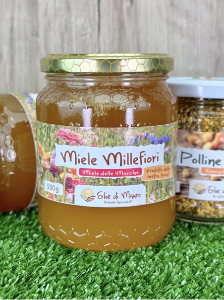 Wildflower honey, not pasteurized 500g