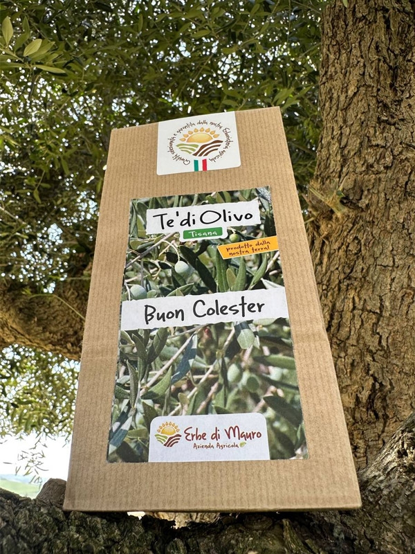 Feuilles séchées d'Olivier