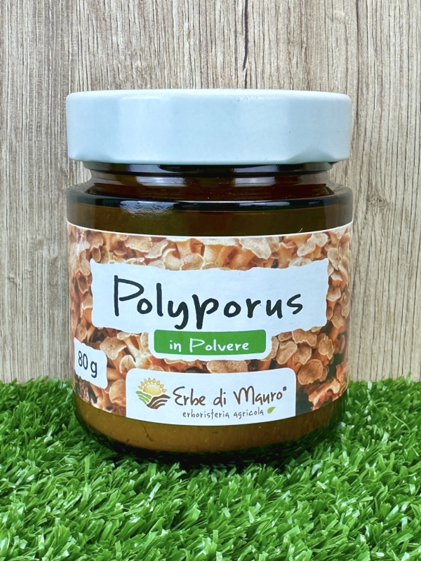 Polyporus umbellatus in polvere 80g- fungo in polvere, super food