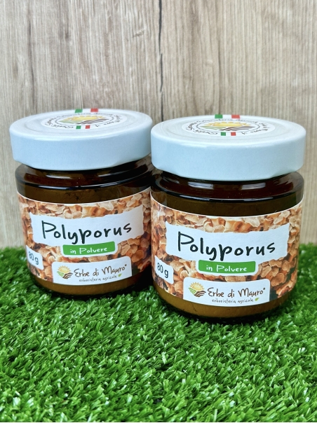 Polyporus umbellatus powder