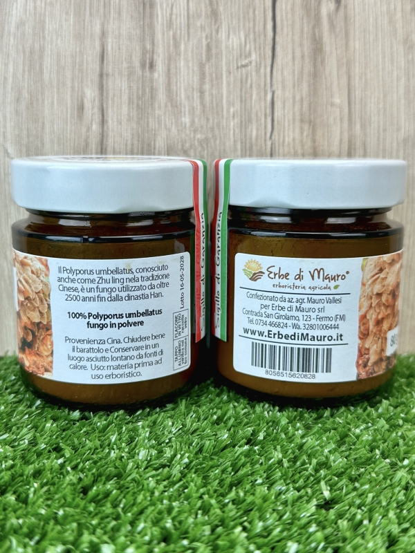 Polyporus umbellatus poudre