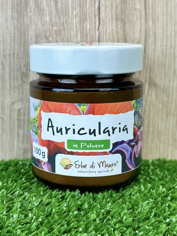 Auricularia auricula-judae (Jelly ear) powder