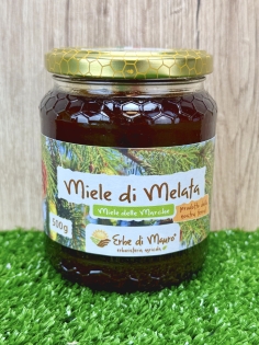 Miele di Melata marchigiano 500g.JPG