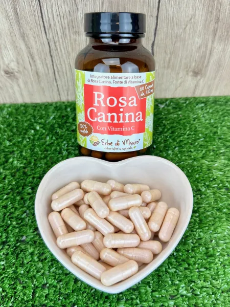Rosehip food supplement capsules 2
